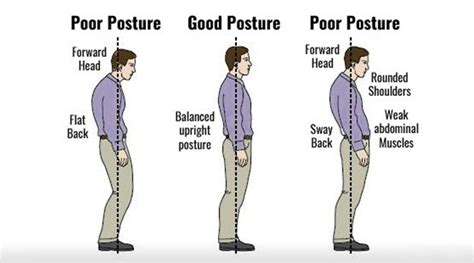 standing upright definition